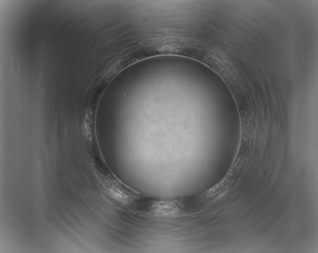 X0000076400175200610061226