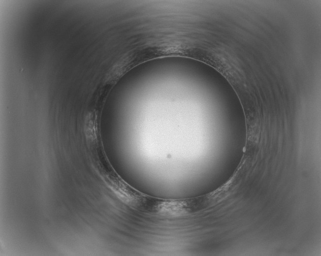 X0000076400179200610061226