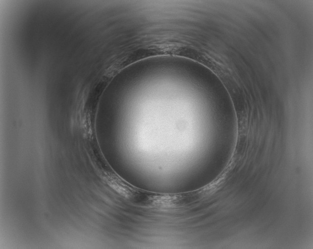 X0000076400182200610061226