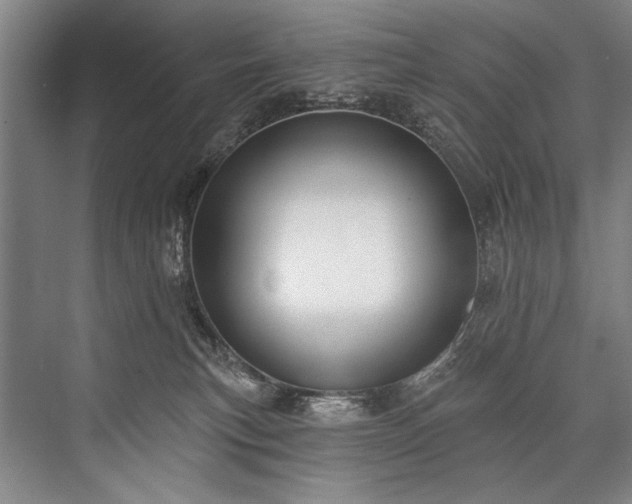 X0000076400183200610061226