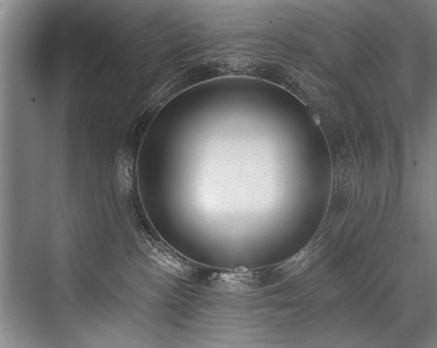 X0000076400188200610061226