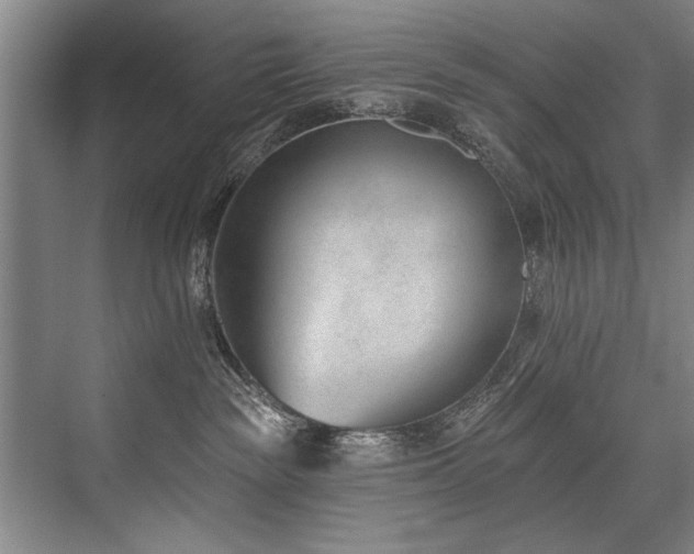 X0000076400189200610061226