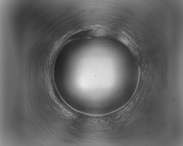 X0000076400193200610061226