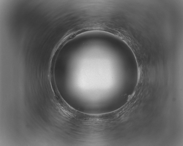 X0000076400195200610061226