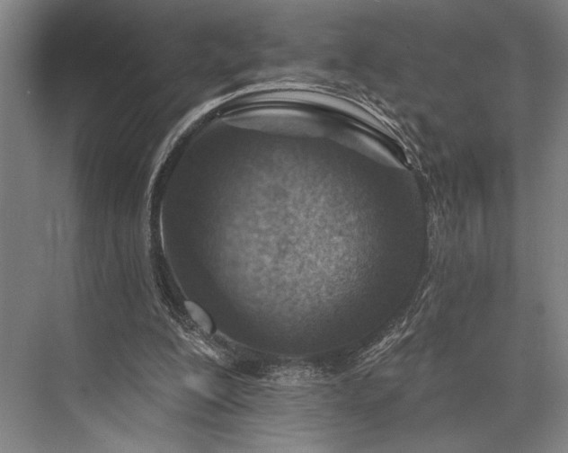 X0000076400200200610061225