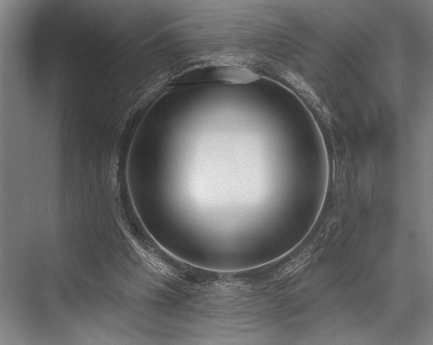 X0000076400201200610061225