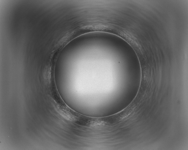 X0000076400206200610061225