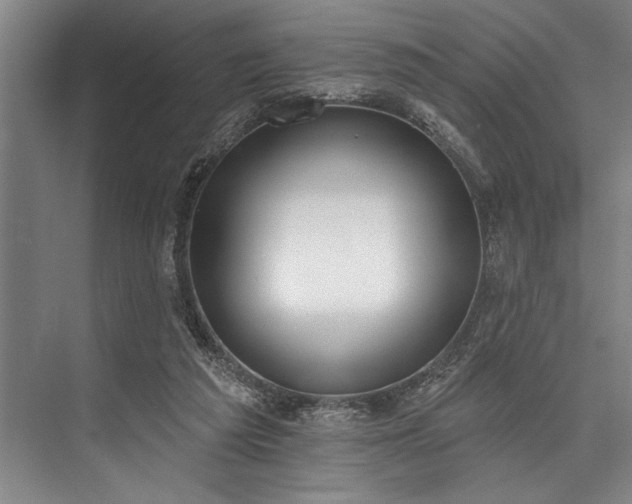 X0000076400209200610061225