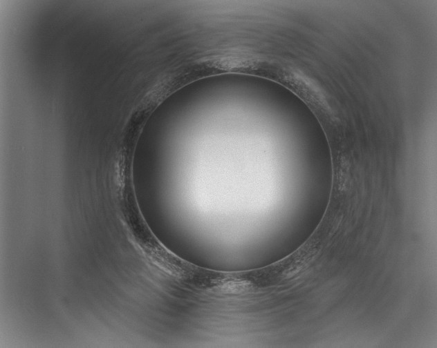 X0000076400210200610061225