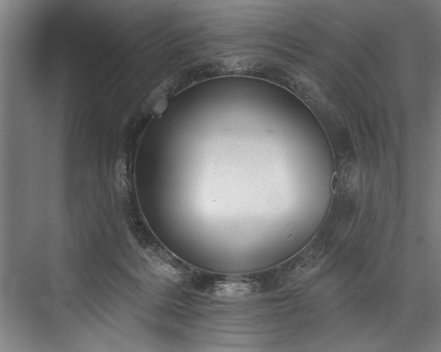 X0000076400220200610061225