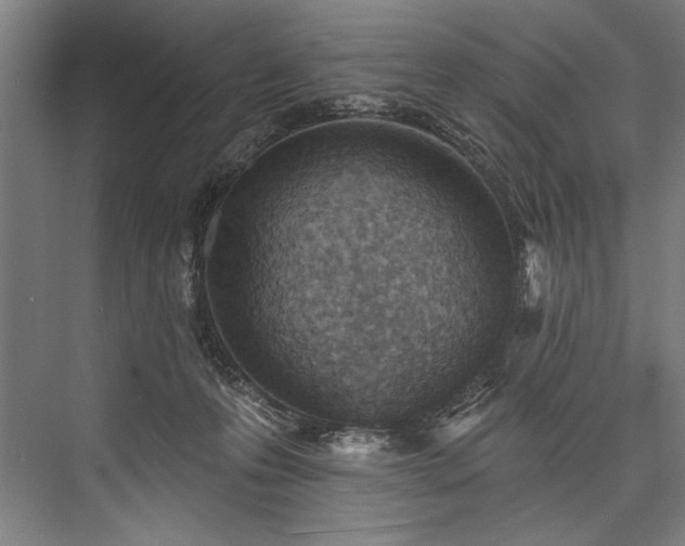 X0000076400223200610061225