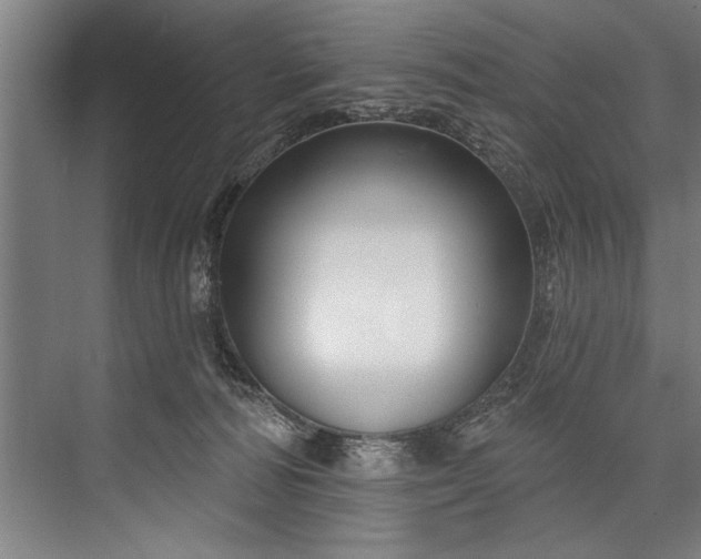 X0000076400226200610061225