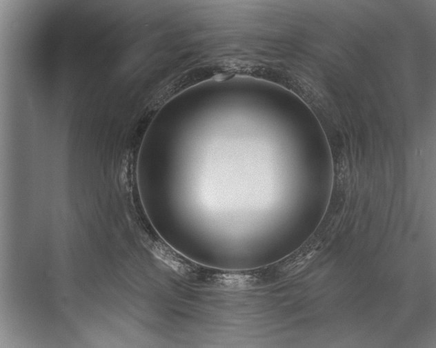 X0000076400233200610061225