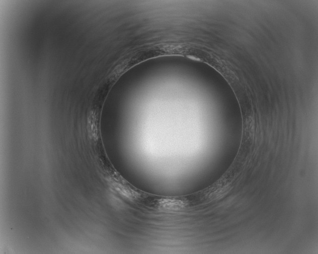 X0000076400234200610061225