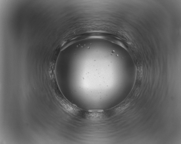 X0000076400237200610061225