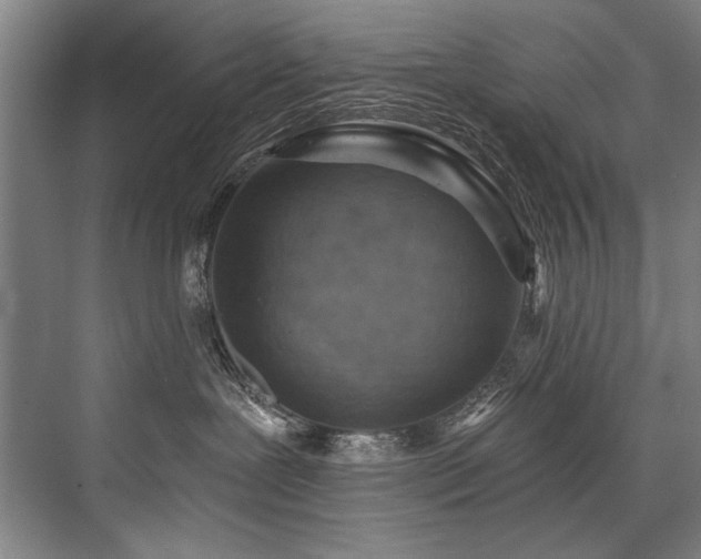 X0000076400239200610061225