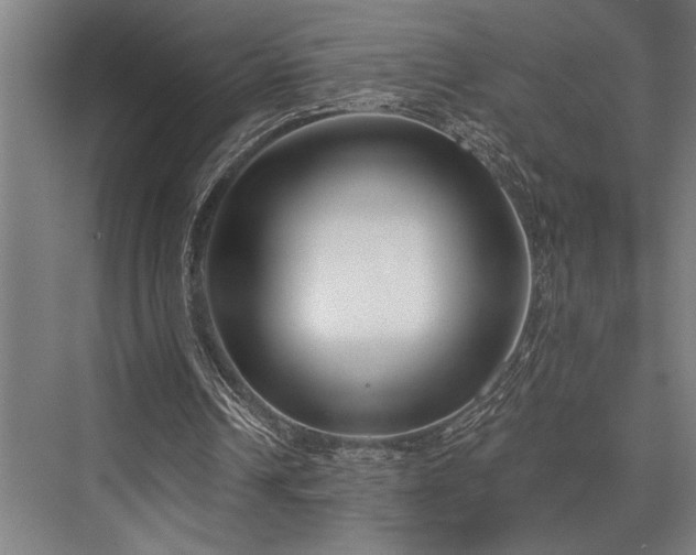 X0000076400242200610061224