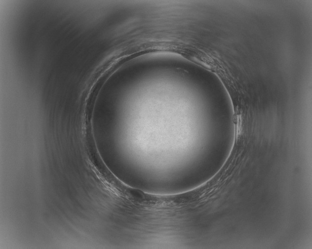 X0000076400243200610061224
