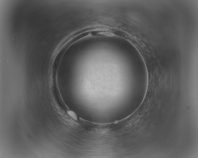X0000076400247200610061224