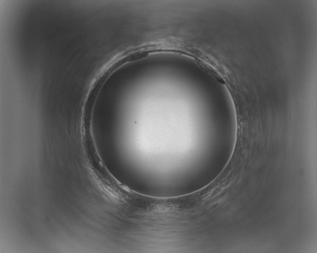 X0000076400248200610061224