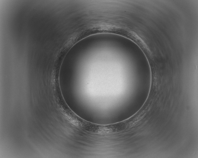 X0000076400257200610061224