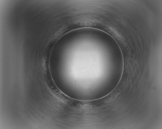 X0000076400258200610061224