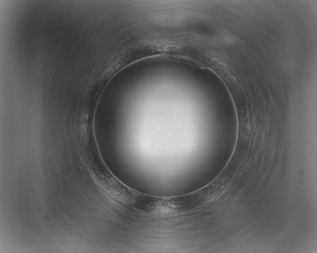 X0000076400263200610061224