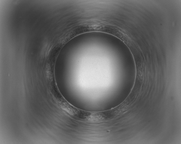 X0000076400270200610061224