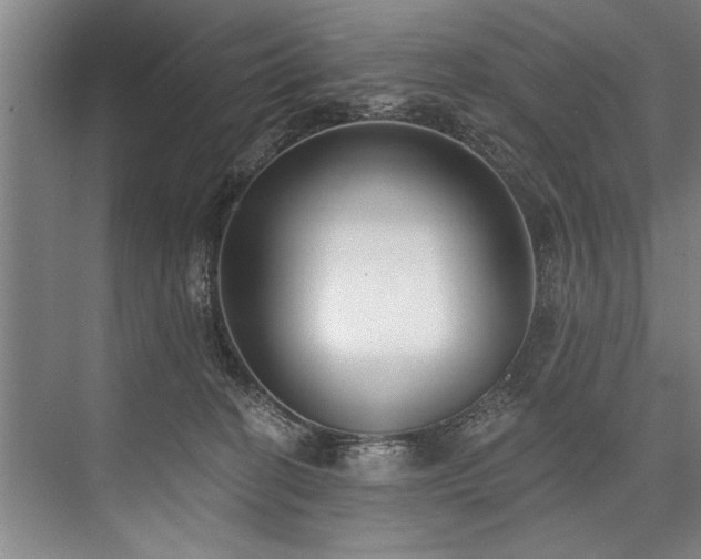 X0000076400274200610061225