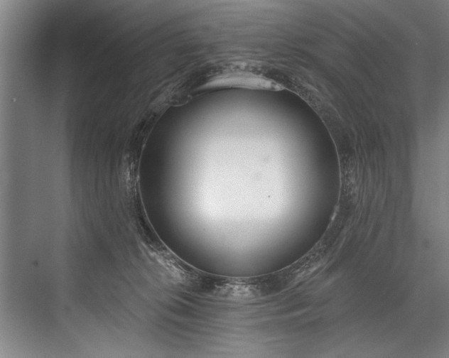 X0000076400276200610061225
