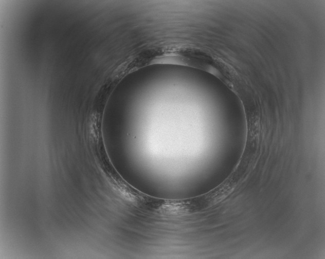 X0000076400280200610061225