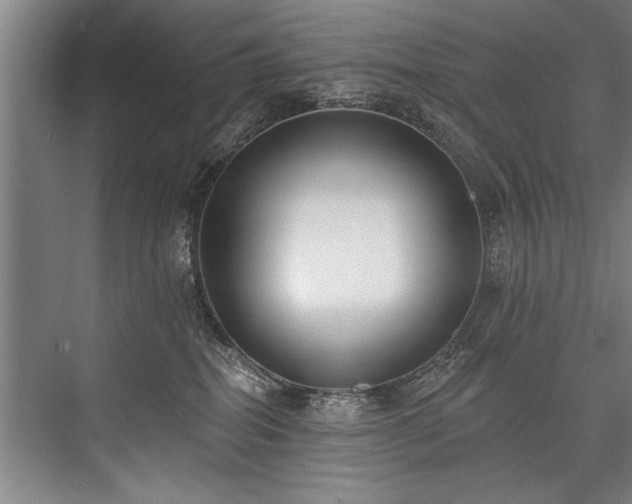 X0000076400282200610061225