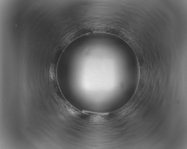 X0000076400287200610061225