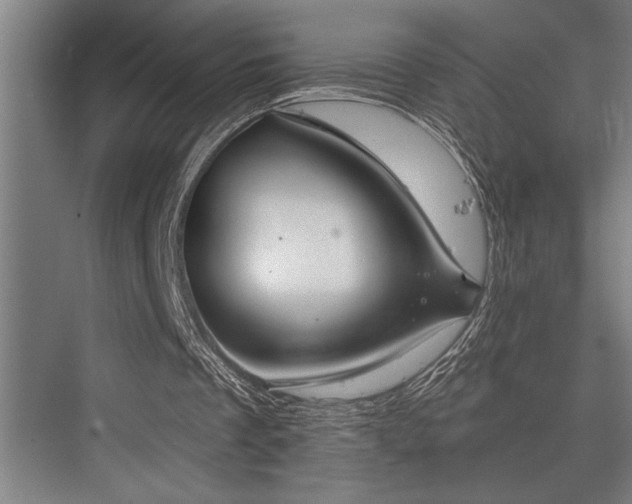 X0000076400289200610061224