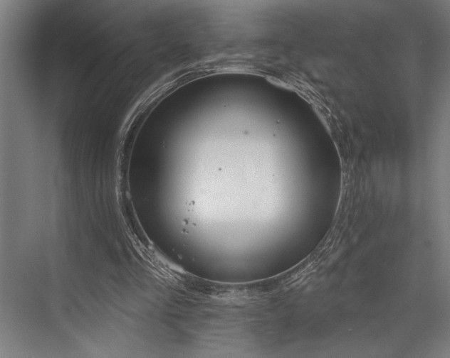 X0000076400293200610061224