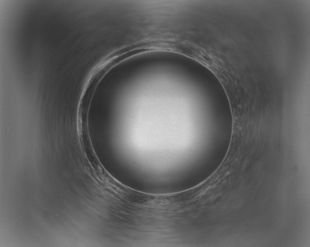 X0000076400294200610061224