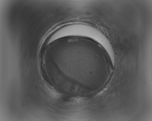 X0000076400295200610061224