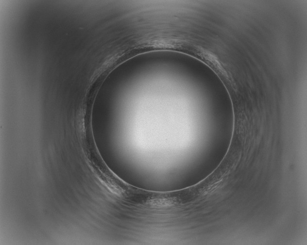 X0000076400299200610061224