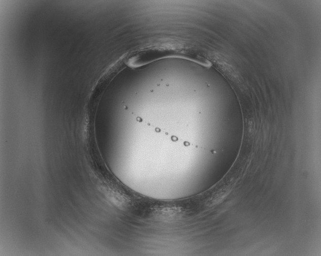 X0000076400304200610061224