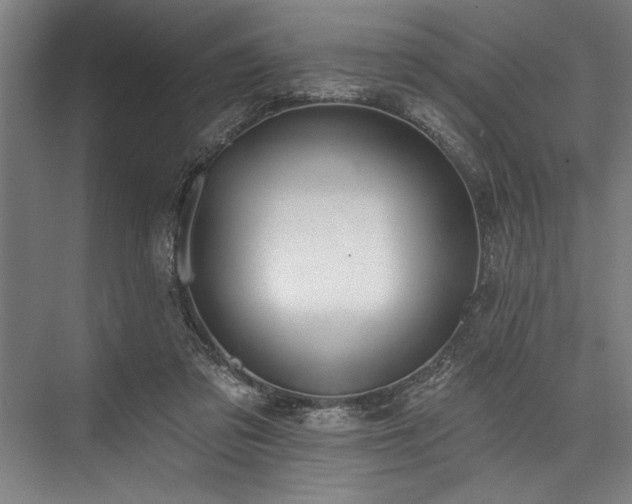 X0000076400309200610061224