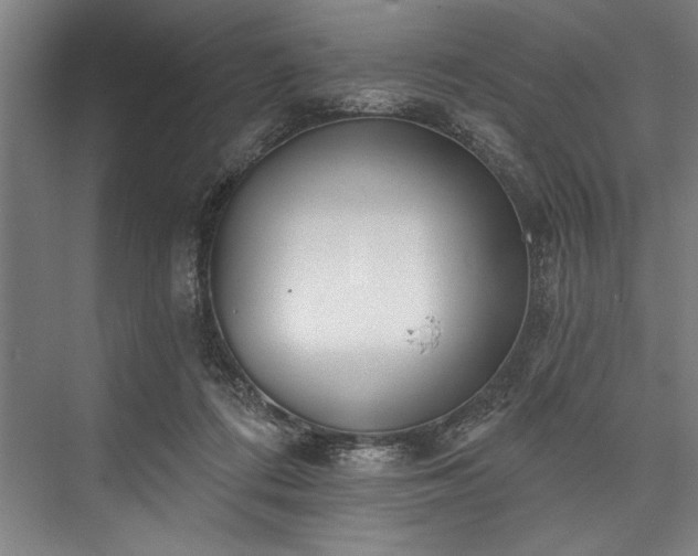X0000076400312200610061224