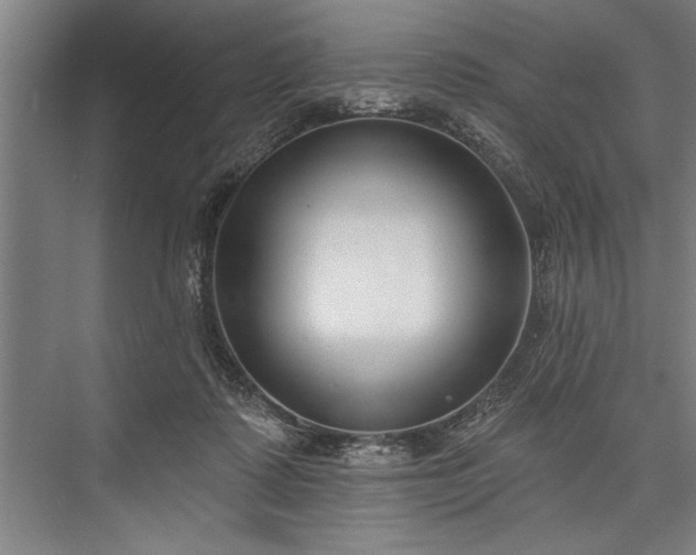 X0000076400315200610061224