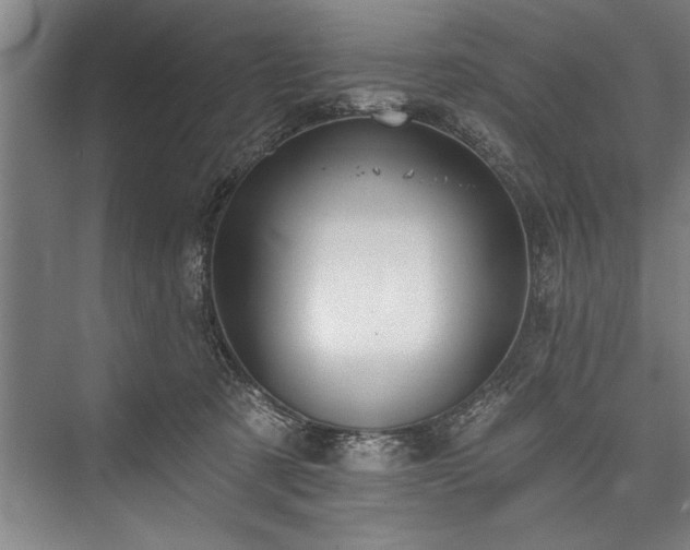 X0000076400321200610061223