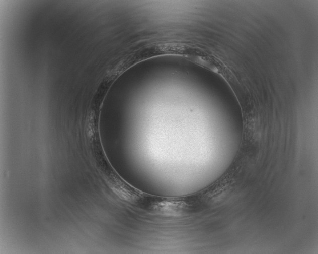 X0000076400323200610061223