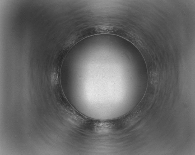 X0000076400324200610061223