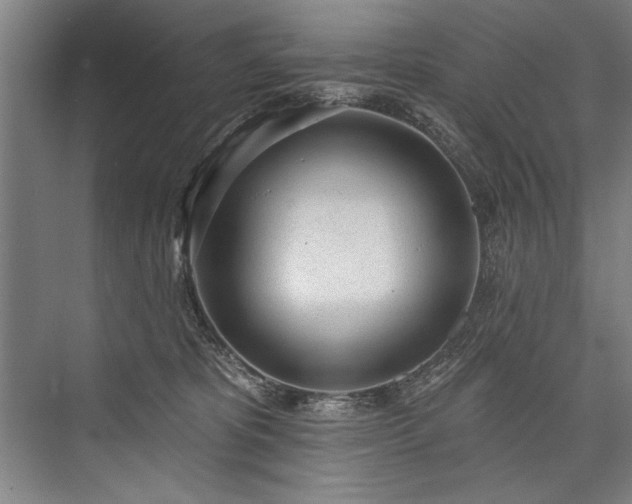 X0000076400325200610061223