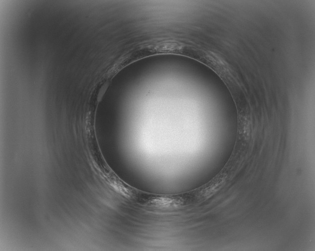 X0000076400326200610061223