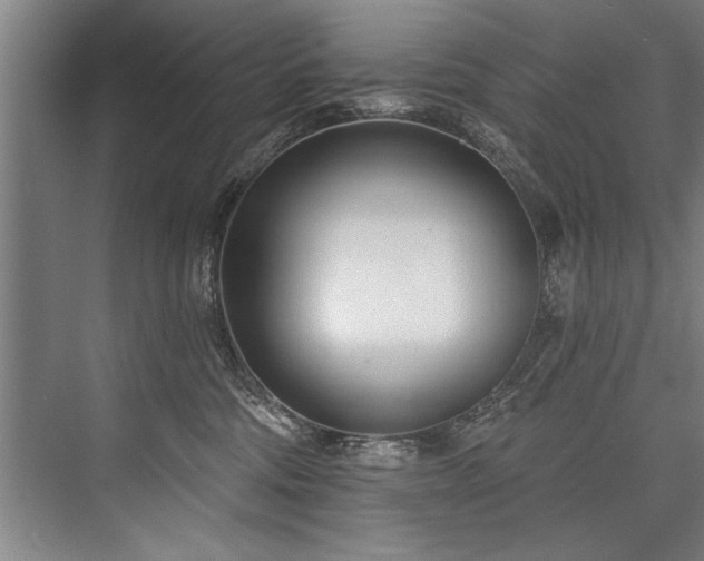 X0000076400330200610061223
