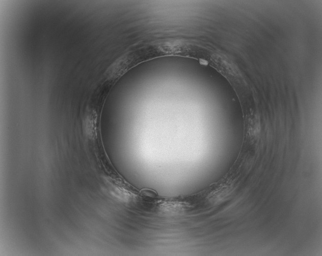 X0000076400332200610061223