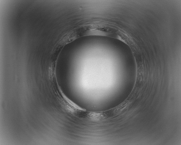X0000076400333200610061223